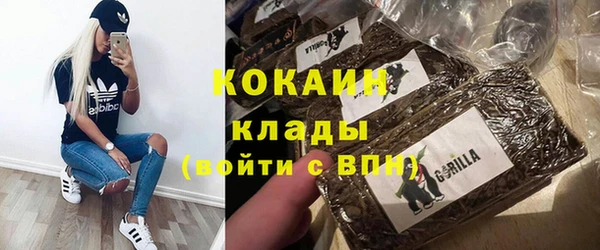 стафф Бородино